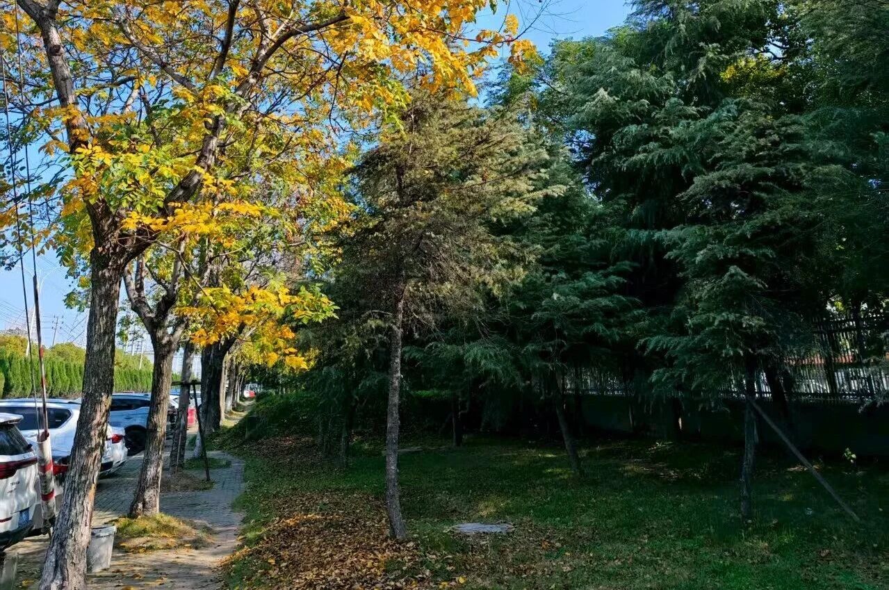 1758179537113741.jpg 微信图片_2025-09-18_150950_430.jpg